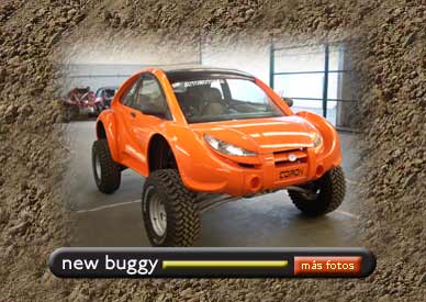 new-buggy